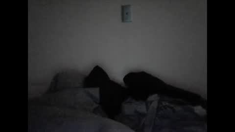 tattedpanther online show from December 3, 4:39 pm