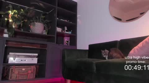 Nathalie Hardy  online show from December 2, 10:23 pm