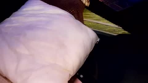 Jean pool online show from October 31, 6:58 am