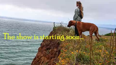 TATUM  ALL MY LINKS  online show from December 2, 7:09 pm