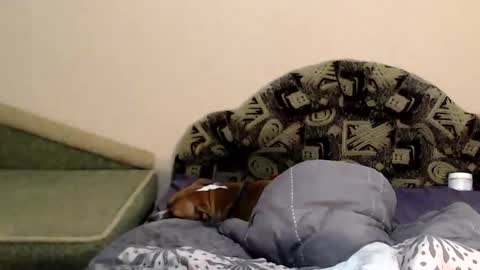 Snapshot of tayagirl chatting on February 4, 11:27 pm Taya online show from February 4, 11:27 pm