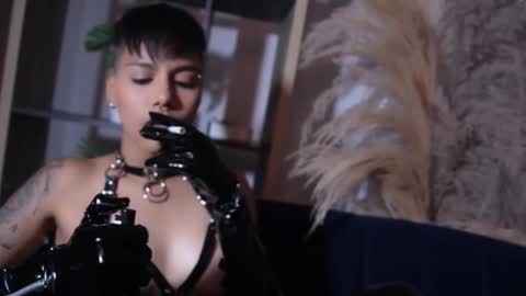 Taylor online show from October 7, 7:00 pm