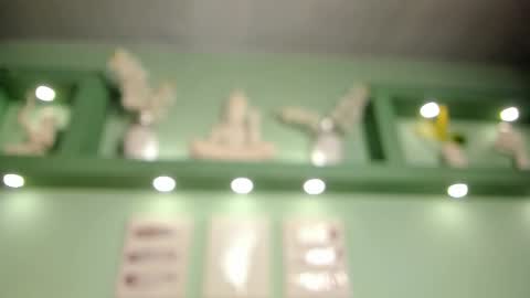 taylor online show from January 9, 1:58 pm