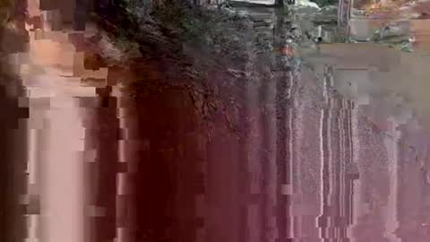 tbaexox online show from September 18, 3:41 am