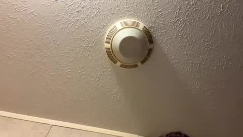 Lilbeebs online show from October 27, 10:58 pm