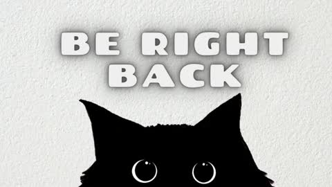 Ted online show from January 17, 7:28 pm