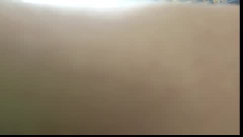 Ada  online show from February 11, 10:20 am