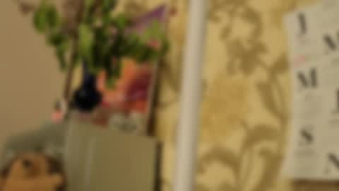 Snapshot of tender__ada chatting on May 2, 9:14 am Ada online show from May 2, 9:14 am