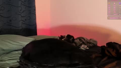 Snapshot of teo_369 chatting on March 1, 9:15 pm Teo online show from March 1, 9:15 pm