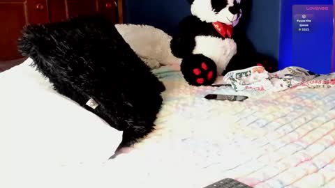 Teo online show from March 11, 8:26 pm