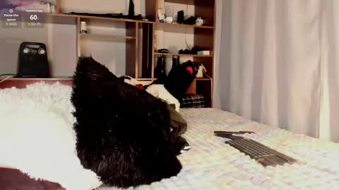 Teo online show from March 26, 10:04 pm