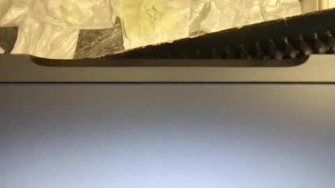 Terence online show from November 9, 4:55 am