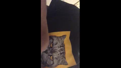 Call me Jason online show from December 17, 12:27 am