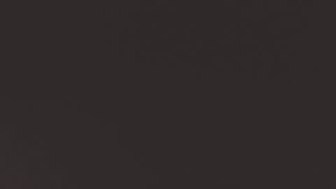 TESSA online show from January 11, 6:24 am