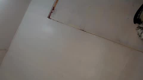 Snapshot of tgirl_luna69 chatting on March 8, 3:06 am Luna online show from March 8, 3:06 am