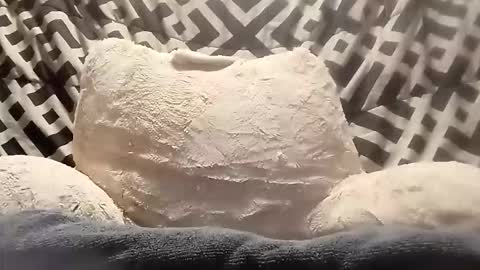 thatb1 online show from April 13, 5:46 am