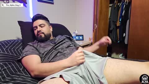 Snapshot of the_alpha_dog_xxx chatting on December 6, 4:14 am the_alpha_dog_xxx online show from December 6, 4:14 am