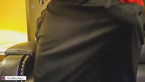 Snapshot of the_alpha_dog_xxx chatting on December 15, 11:53 pm the_alpha_dog_xxx online show from December 15, 11:53 pm