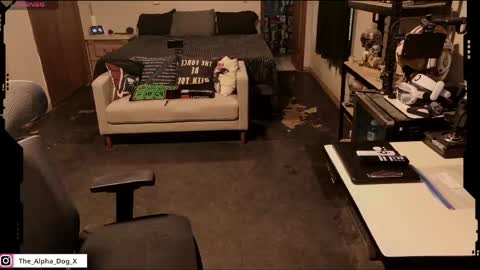 the_alpha_dog_xxx online show from April 26, 4:48 pm