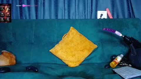 the dog lian online show from March 7, 2:19 am