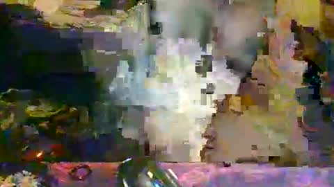 the_dragonlord1 online show from March 13, 4:08 am