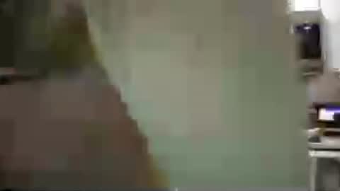 thebabybrii online show from July 13, 4:54 pm