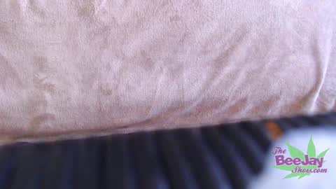 Snapshot of thebeejayshow chatting on December 4, 8:12 am TheBeeJayShow online show from December 4, 8:12 am