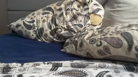 Snapshot of theeshooterr chatting on December 5, 6:22 pm theeshooterr online show from December 5, 6:22 pm