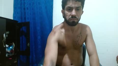 thehousedog online show from April 1, 1:17 am