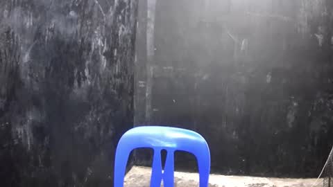 Xerxis online show from March 10, 2:37 pm