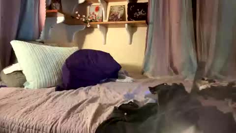 theonlyboi43ver online show from December 17, 11:44 pm