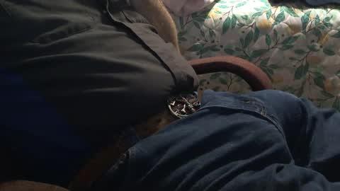 Snapshot of thetnguy chatting on December 21, 12:42 am thetnguy online show from December 21, 12:42 am