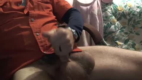 Snapshot of thetnguy chatting on December 23, 6:27 pm thetnguy online show from December 23, 6:27 pm