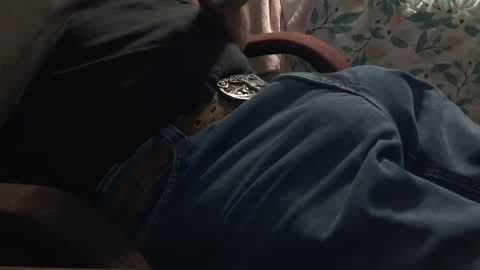 Snapshot of thetnguy chatting on October 6, 12:24 pm thetnguy online show from October 6, 12:24 pm