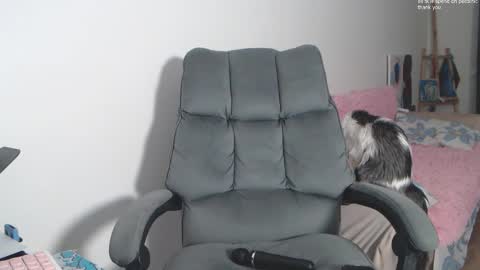 Snapshot of theysaidimcute chatting on February 19, 9:11 pm theysaidimcute online show from February 19, 9:11 pm