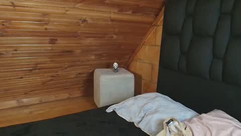 Snapshot of thiago_n_sam chatting on November 1, 12:01 am thiago_n_sam online show from November 1, 12:01 am