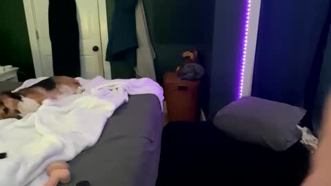 Thick D Bottom online show from March 12, 4:51 am