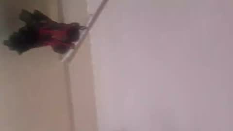 Thonas online show from November 5, 12:10 am