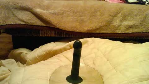 Thongsandstocking online show from December 1, 11:21 pm