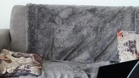 Sebastian online show from January 8, 5:26 pm