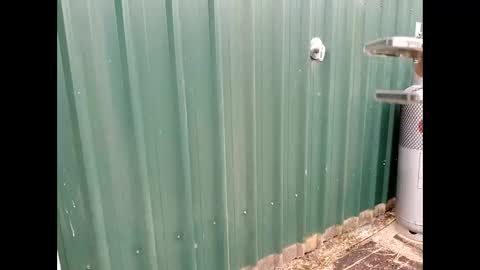 Snapshot of throbmasterr chatting on September 12, 9:48 pm throbmasterr online show from September 12, 9:48 pm