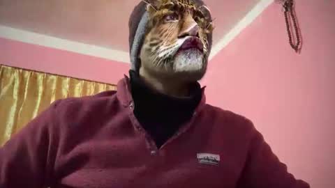 thulochaak online show from December 28, 11:30 am