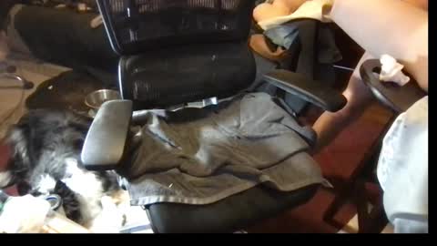 Snapshot of thundersword chatting on March 8, 7:09 pm thundersword online show from March 8, 7:09 pm