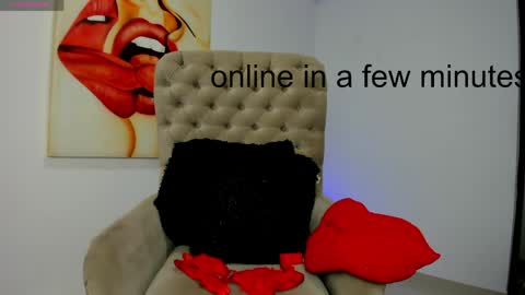 Snapshot of tiago_hannah chatting on May 17, 9:49 am carolina online show from May 17, 9:49 am