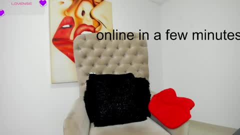 Snapshot of tiago_hannah chatting on May 31, 10:55 am carolina online show from May 31, 10:55 am