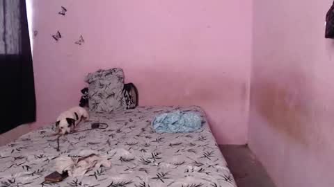 Tiana online show from November 6, 9:37 pm