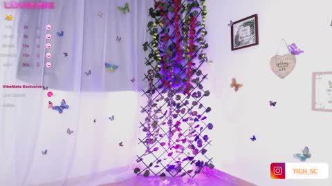 TICH online show from December 21, 12:16 pm