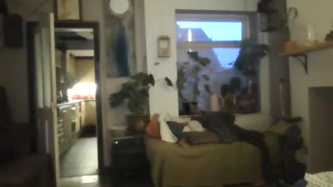 tiddles12345 online show from October 18, 6:26 am