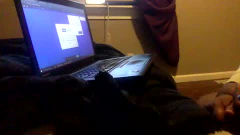 Snapshot of tierrahenri chatting on February 2, 3:49 pm Tierra Henri online show from February 2, 3:49 pm