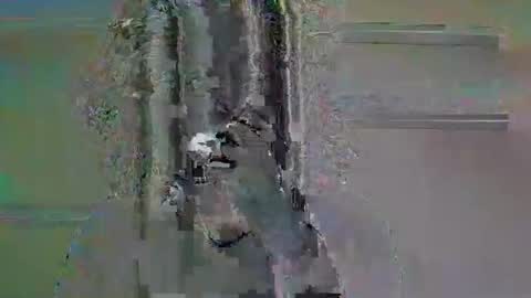 Snapshot of tifa_lockheart chatting on April 11, 11:03 am tifa_lockheart online show from April 11, 11:03 am